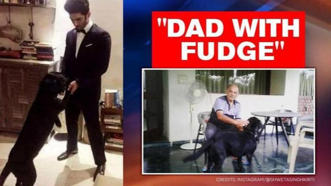 Sushant Singh Rajput's dog Fudge united with late actor's father, sister Shweta delighted