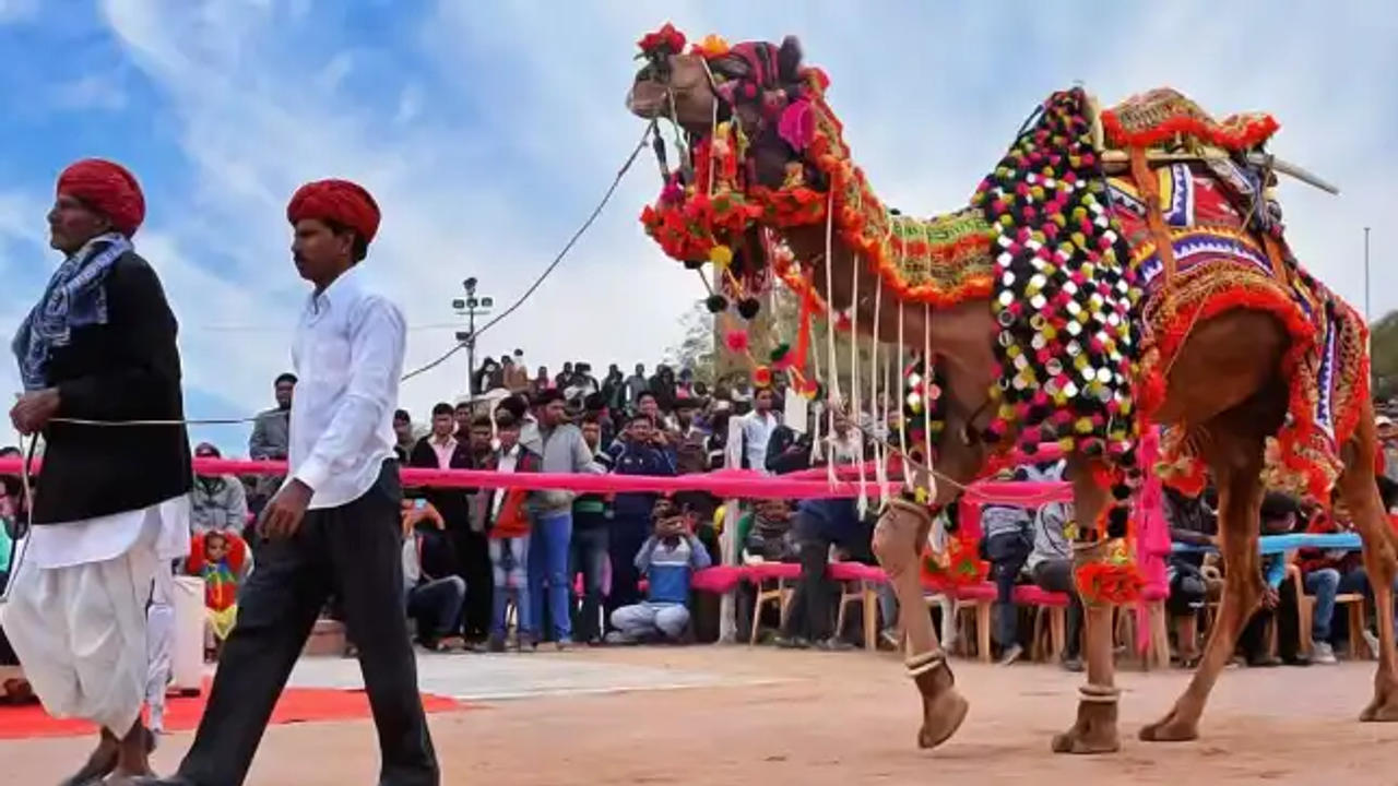 Bikaner’s Camel Festival