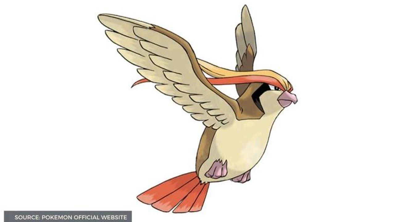 pidgeot pokemon go