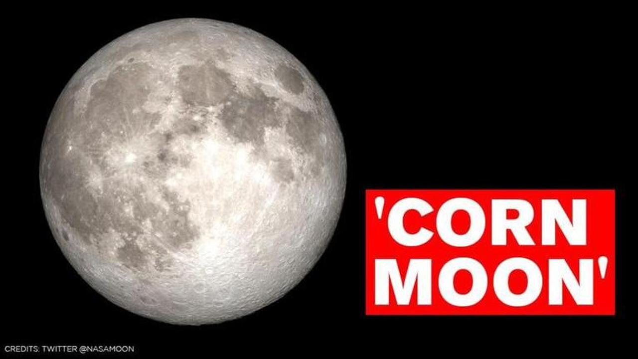 Corn Moon