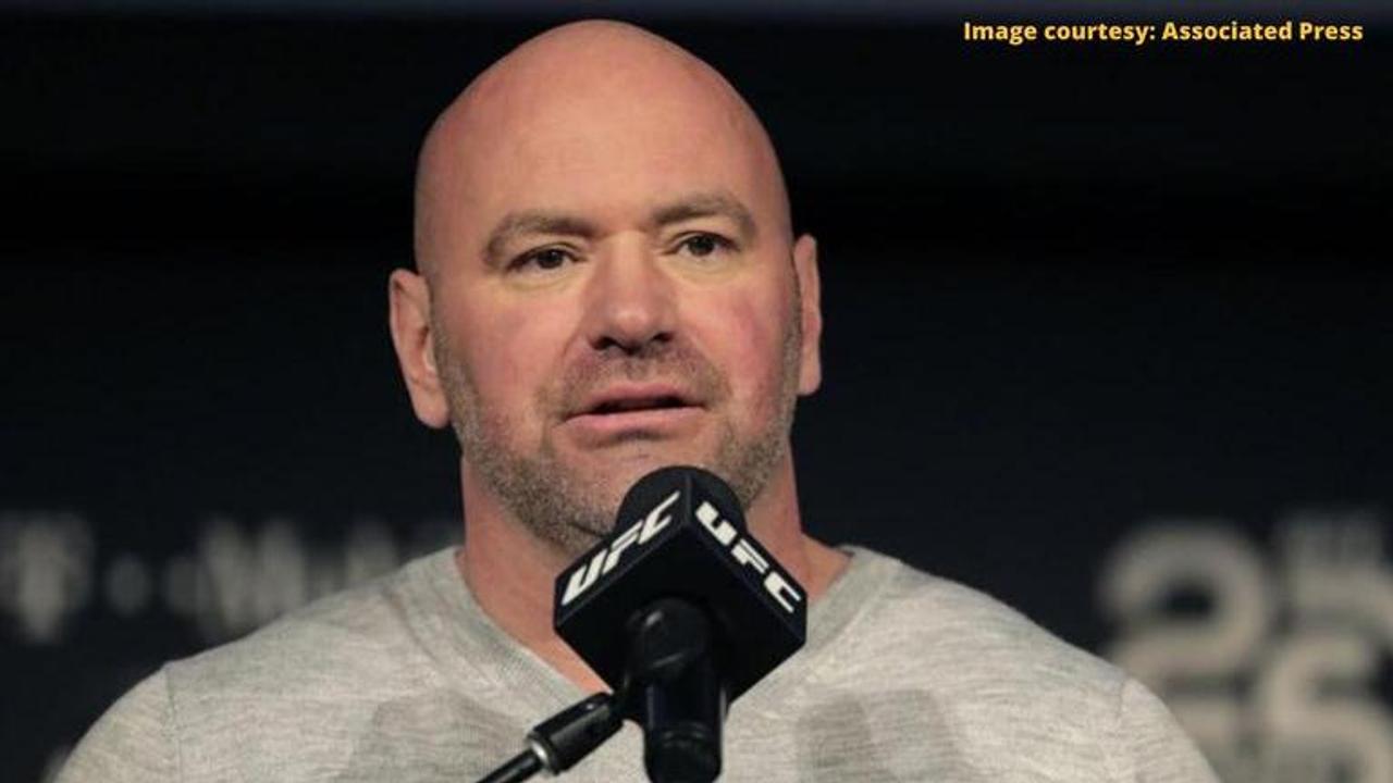 dana white