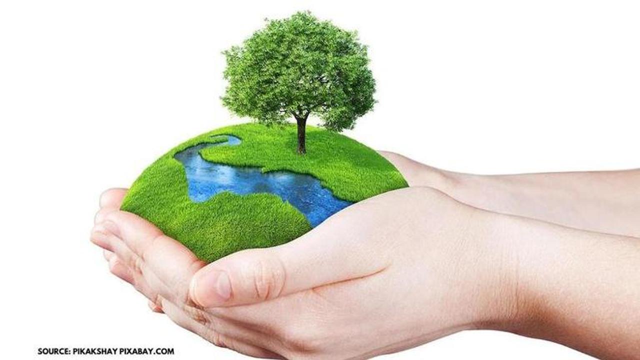 World environment day slogan 2020