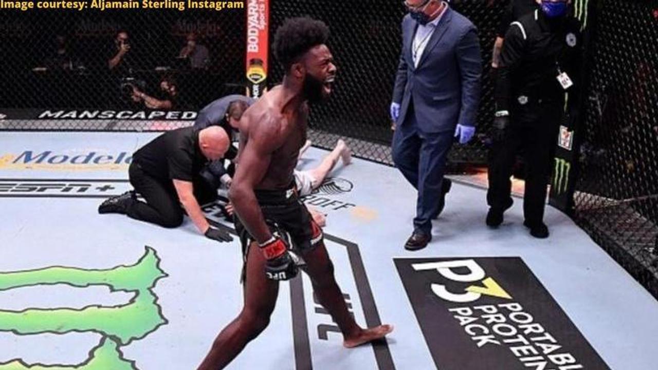 Aljamain Sterling net worth 2020