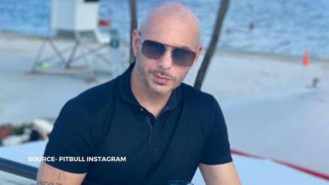 pitbull songs quiz