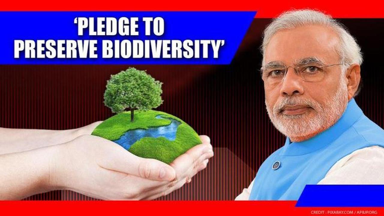 World Environment Day