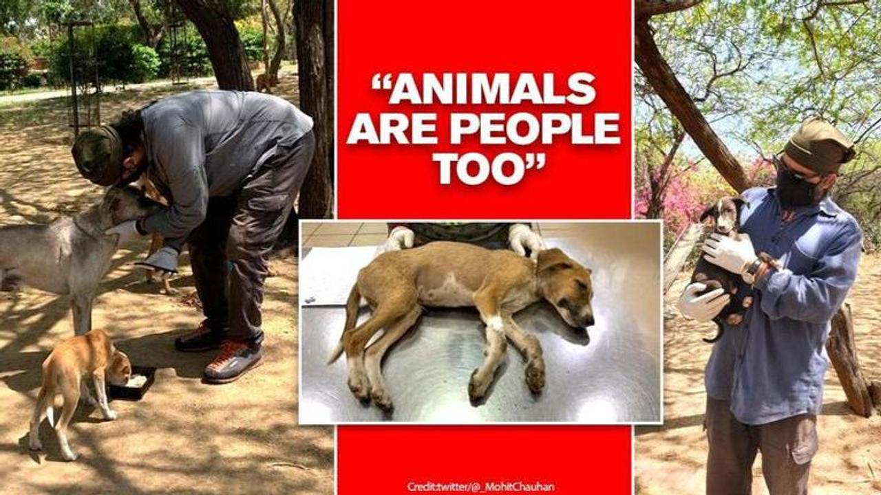 Mohit Chauhan feeding strays daily, buries puppies, rescues injured as celebs ignore pleas