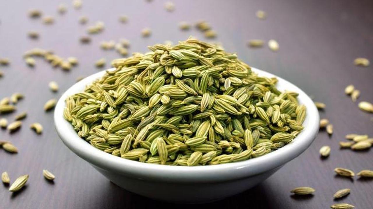 Fennel Seeds