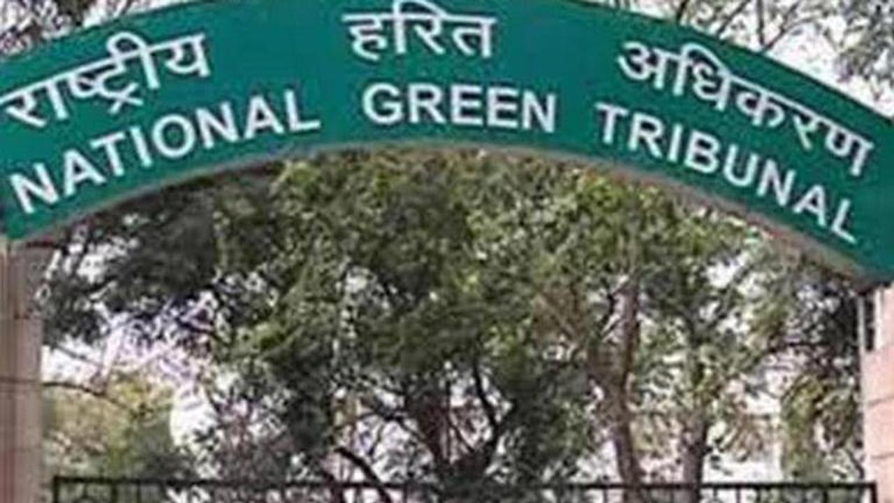 Coronavirus: NGT notice to stop use of biometric machines to mark attendance at principal bench