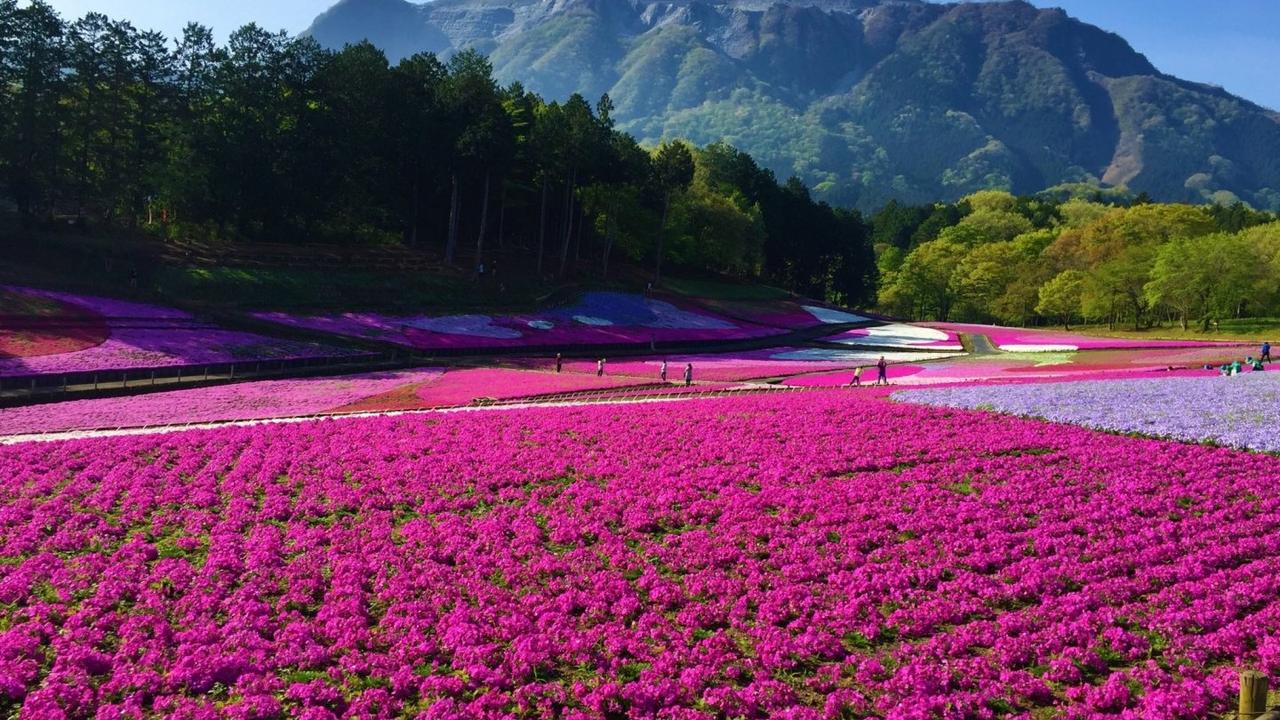 Chichibu, Japan