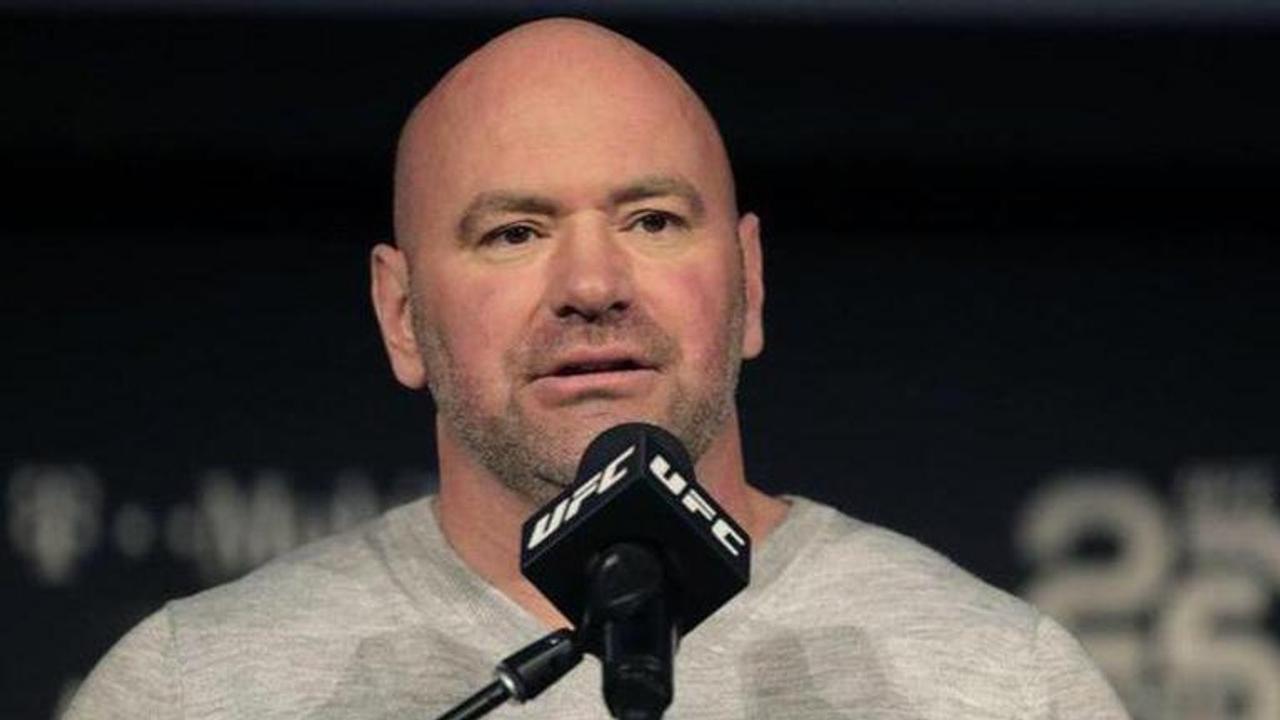 Dana White