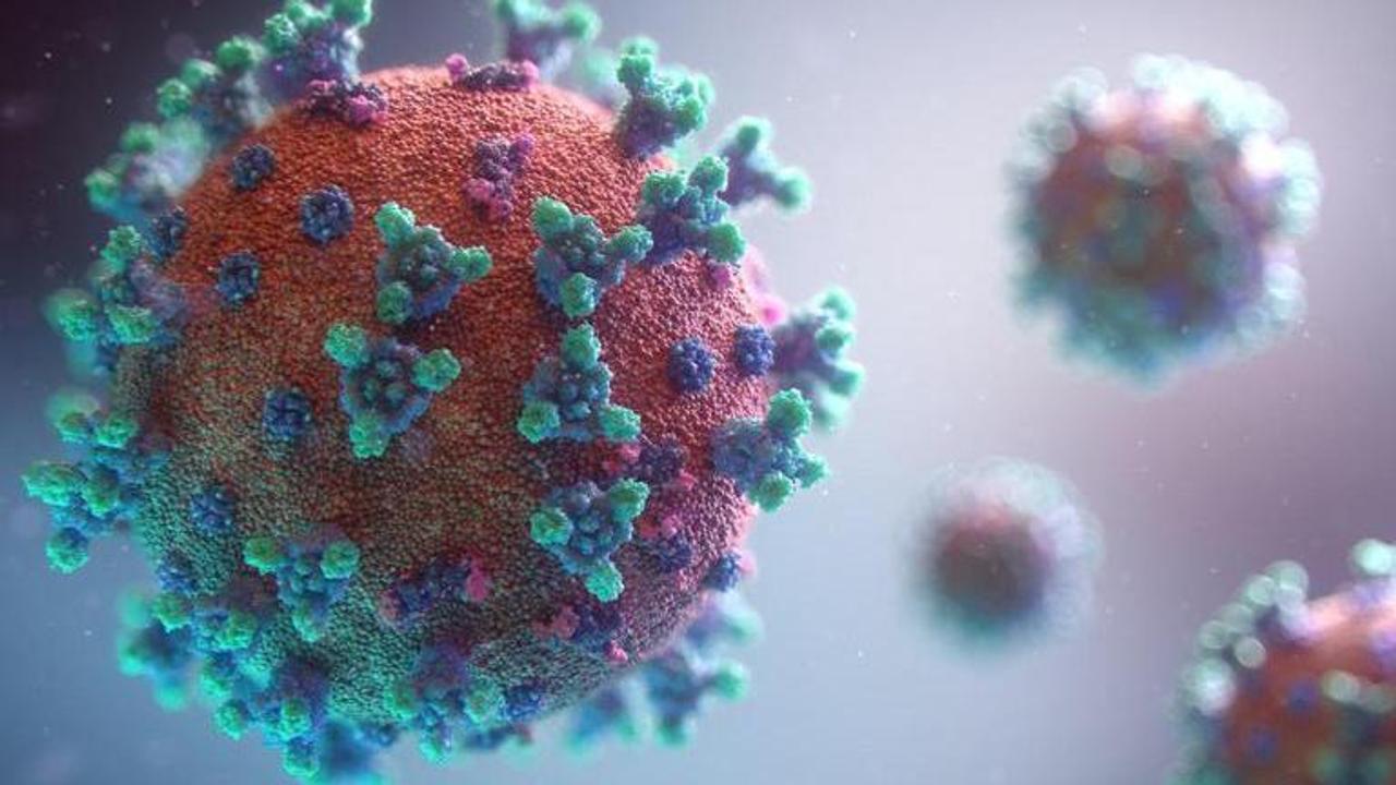 Arkansas reports 385 new coronavirus cases, 11 more deaths