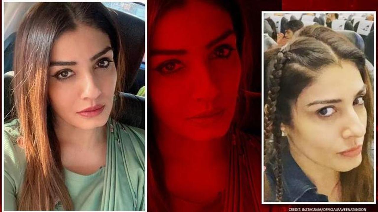 Raveena Tandon did THIS when passengers on flight were annoyed over missing pilot; watch