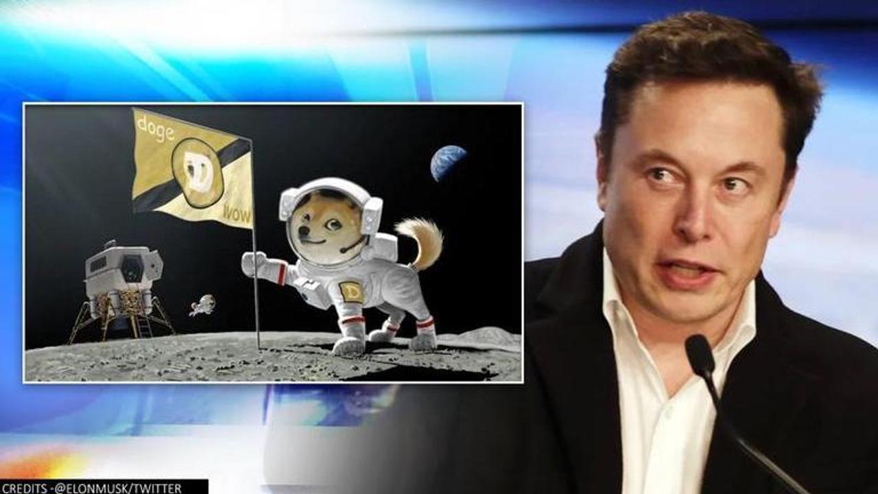 Elon Musk claims SpaceX is going to put cryptocurrency Dogecoin on the Moon