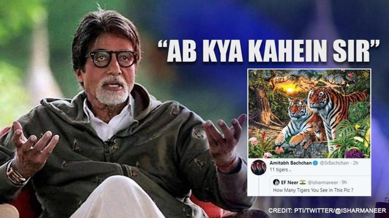 Amitabh Bachchan's tiger riddle puzzles netizens , celebs too don't agree on one answer