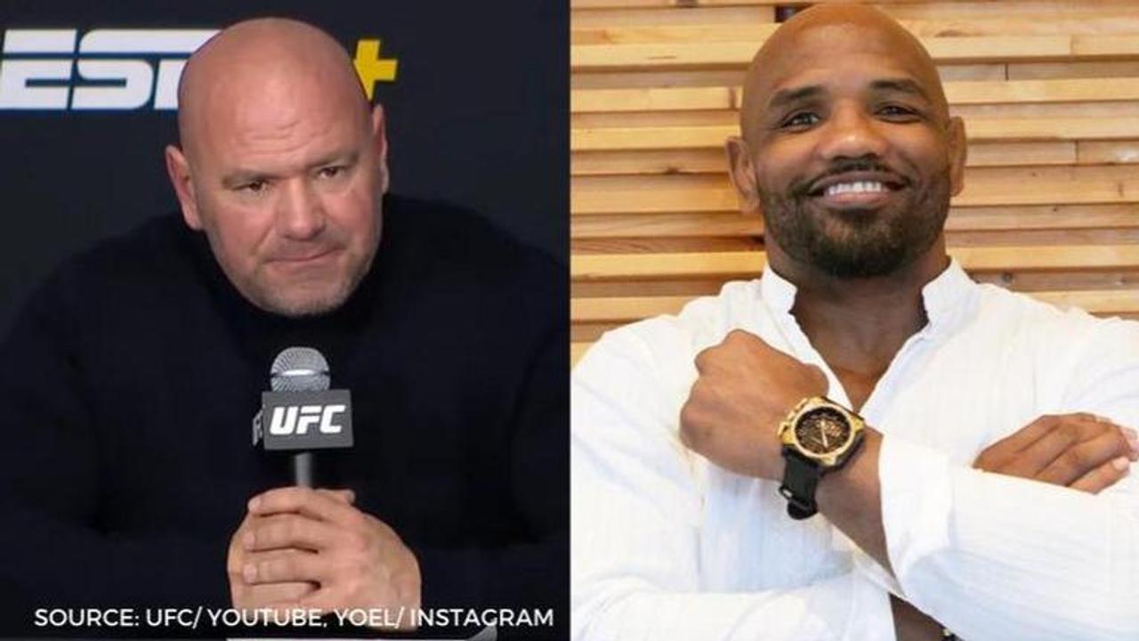 dana white