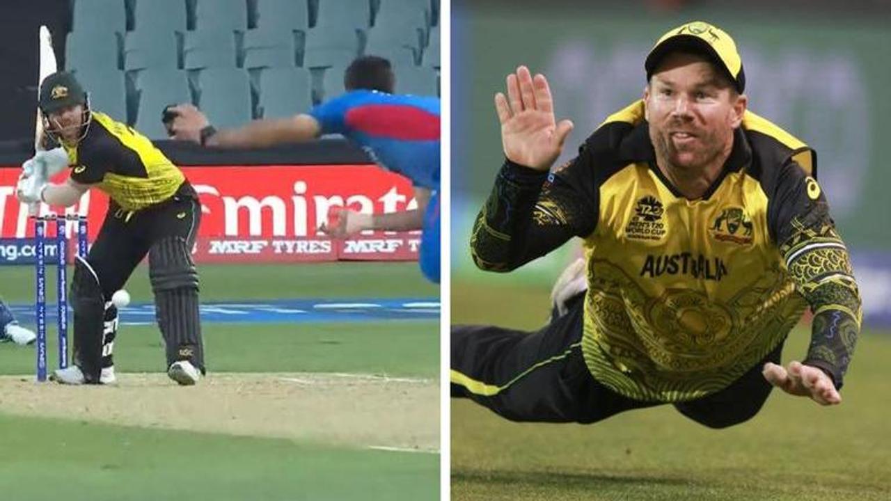 David Warner, Naveen-ul-Haq, Australia vs Afghanistan, AUS vs AFG, T20 World Cup, David Warner batting, David Warner switch hit