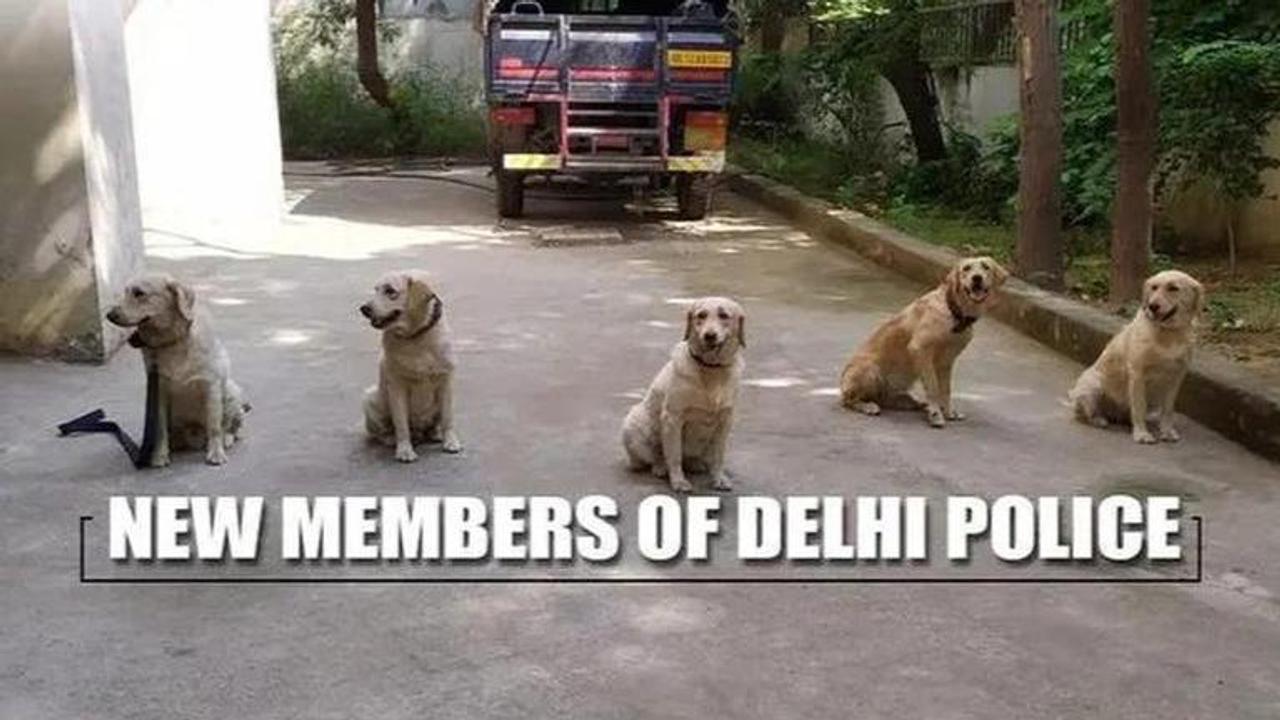 Delhi Police