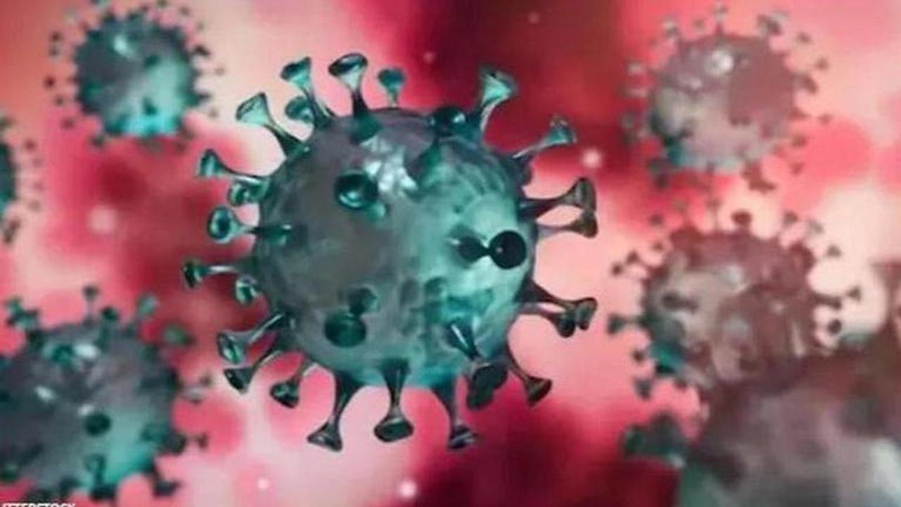 Coronavirus