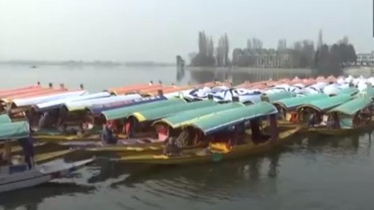 Shikara boats