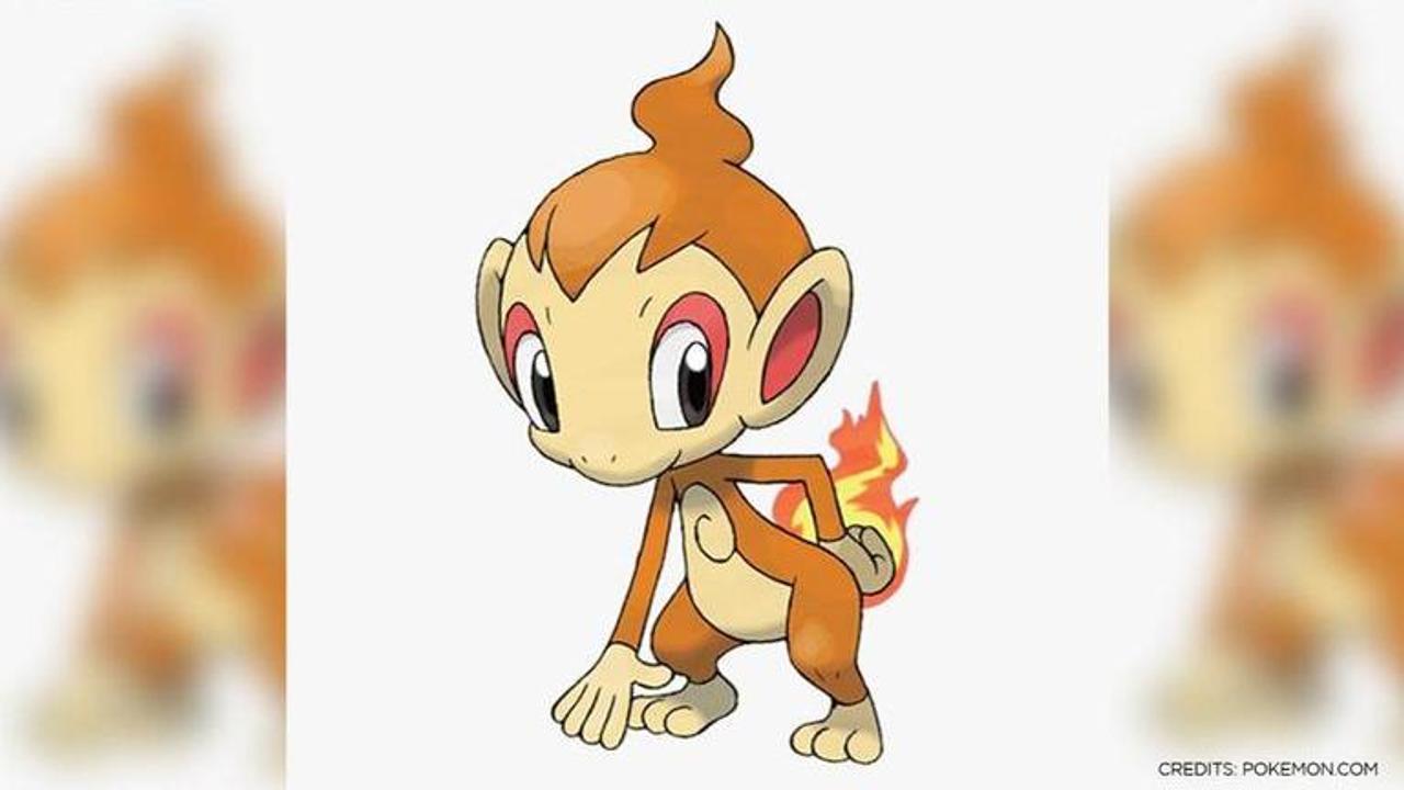 How to catch Chimchar in Pokemon Go? Check Where to find, Evolution Line guide here