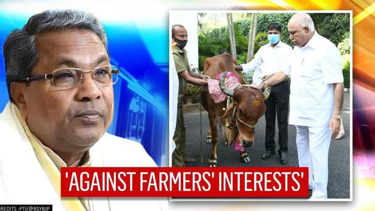 Siddaramaiah