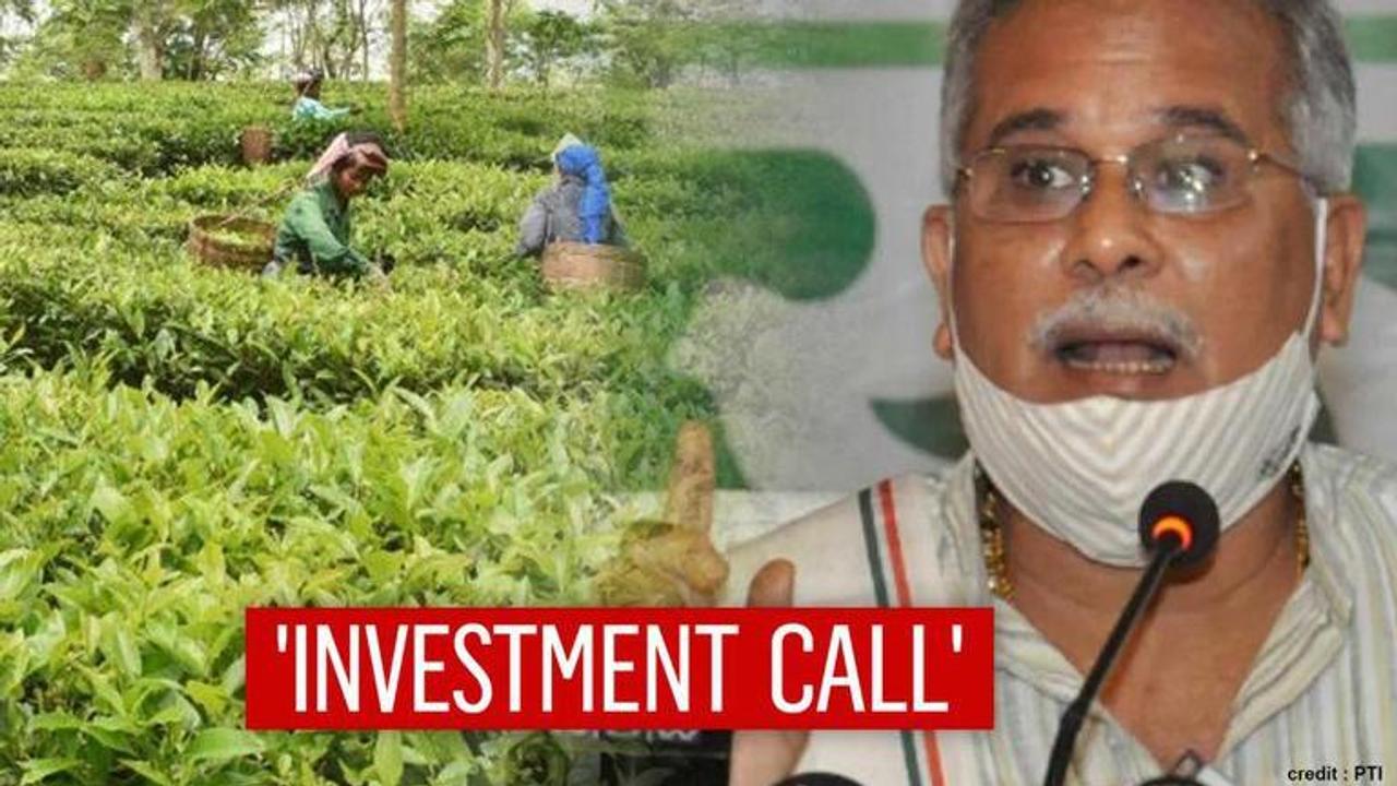 Chhattisgarh CM calls Assam’s industrialists to set up Bamboo, Tea industries in his state