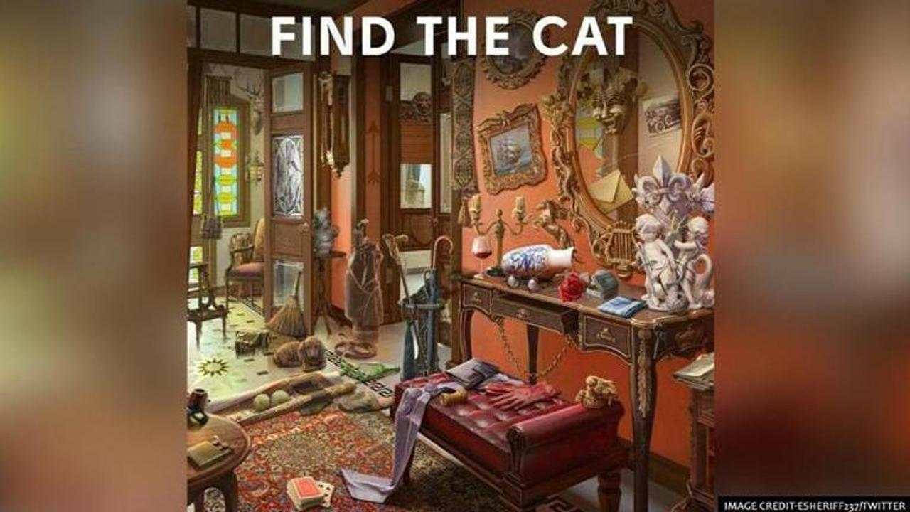 Cat camouflaged in a messy room leaves people baffled. Can you spot it ?