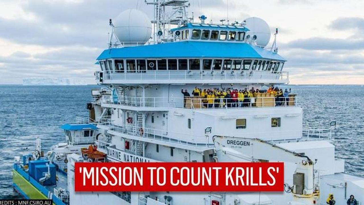 Australia: Scientists embark on voyage to count krill population in Antarctic