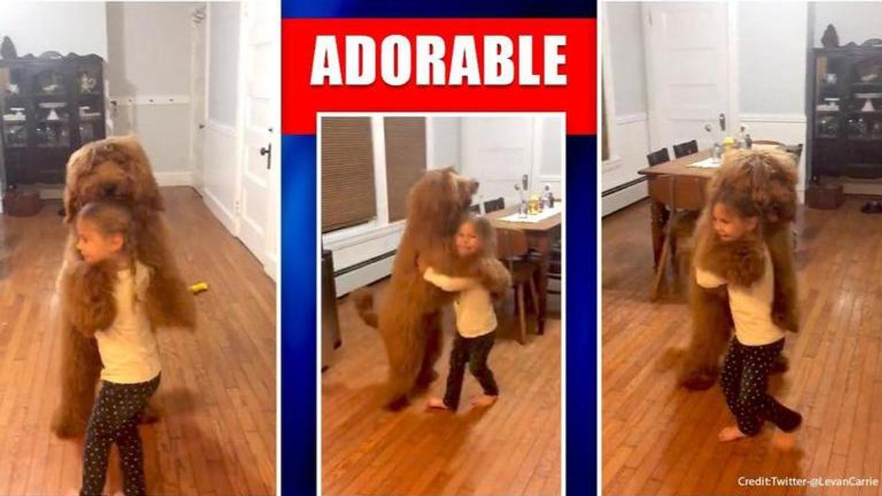 Feeling low? This video of girl dancing with a dog on Twitter is dripping love