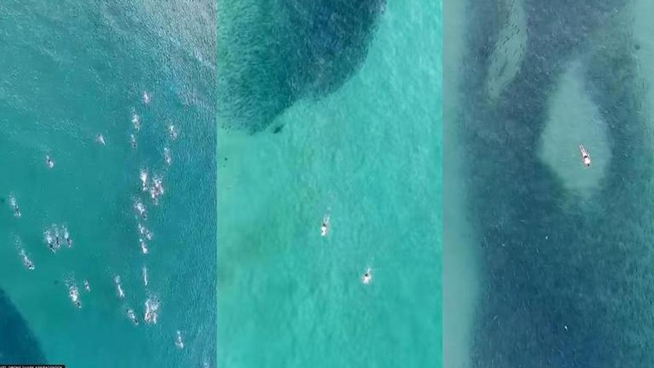 Australia: Drone captures men swimming dangerously close to salmon,shark I Watch