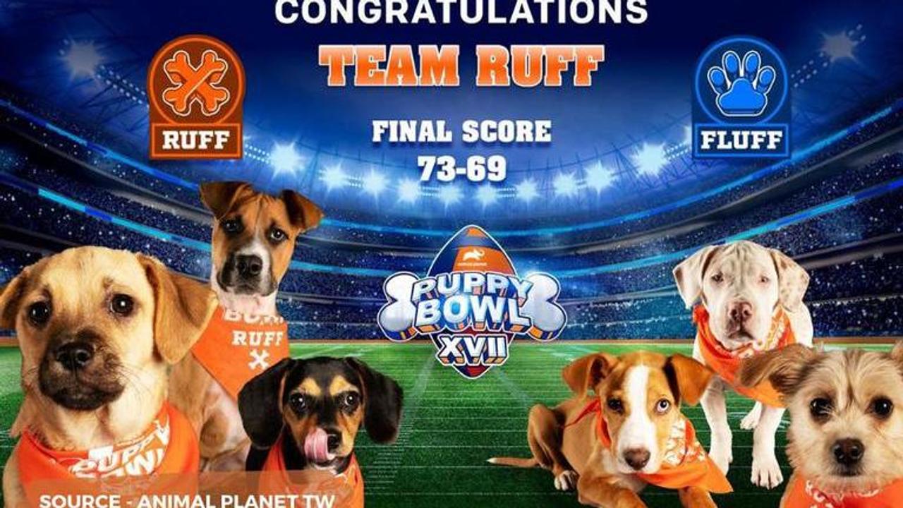 who won puppy bowl 2021