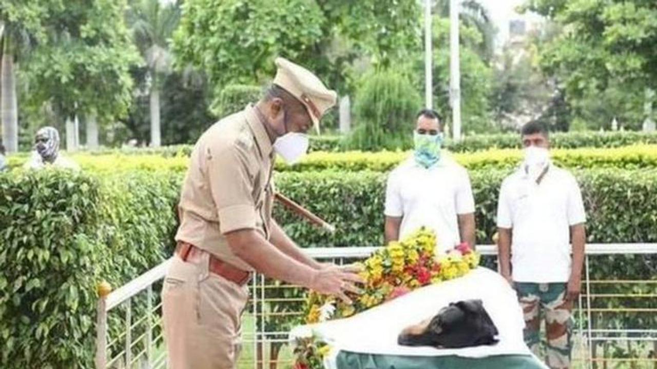 Police Dog Rocky given proper farewell by Beed police