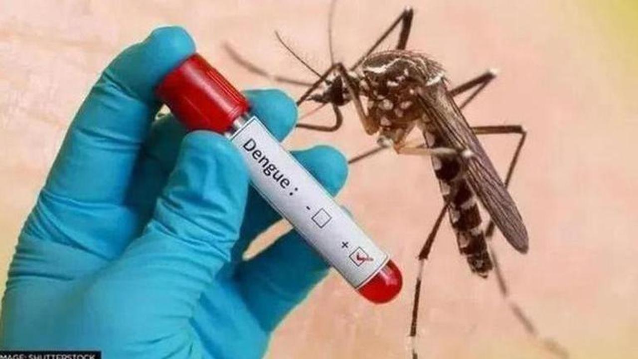 Preventive measures brought by government to control Dengue in Tamil Nadu