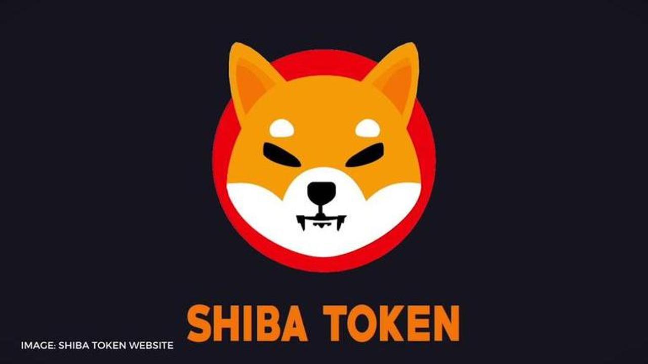 shiba inu coin