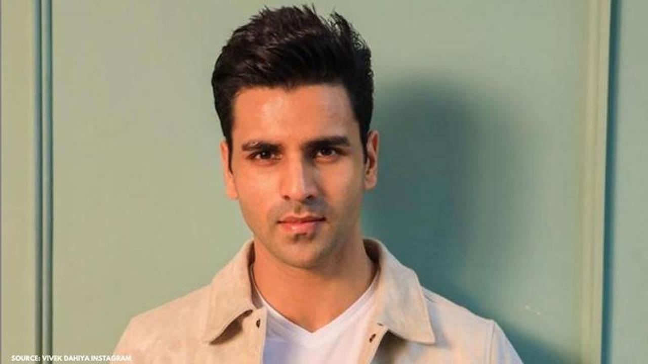 vivek dahiya's net worth