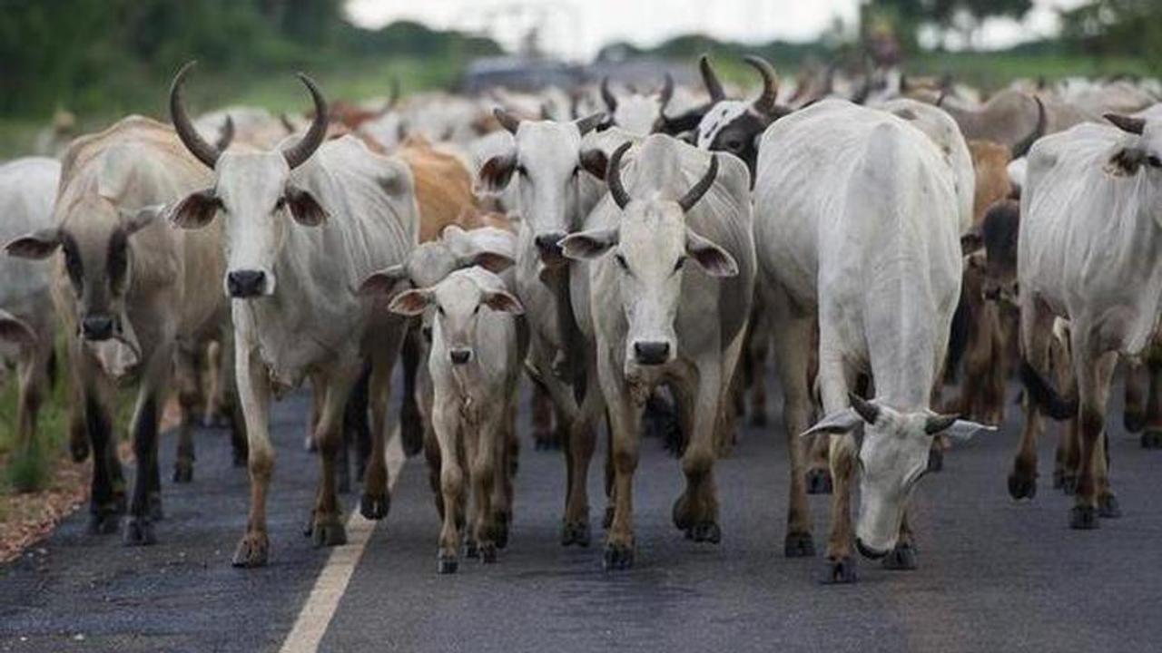 Madhya Pradesh