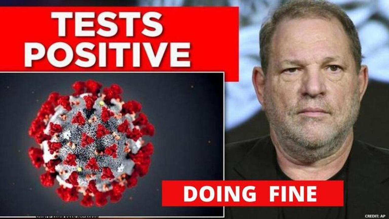 harvey weinstein