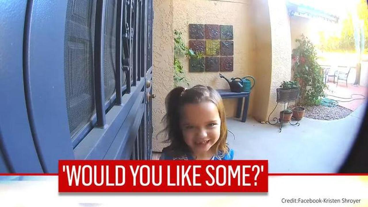 Little Girl's sales pitch for cookie wins internet, netizens offer to buy