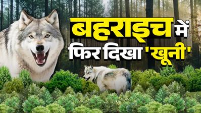 Bahraich Wolf Attack