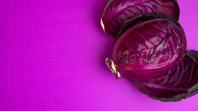 Red cabbage microgreen