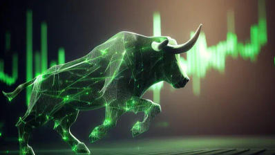 Stock market bull