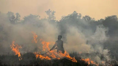 Stubble burning