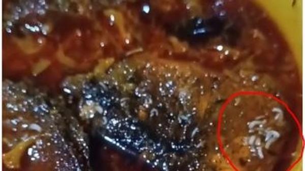 Disturbing Video Of Live Maggots In Fish Curry In Nagaland Raises