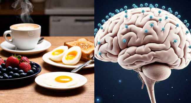 Breakfast For Brain and Memory