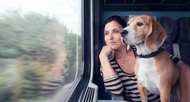 Pet-friendly rail travel in India 