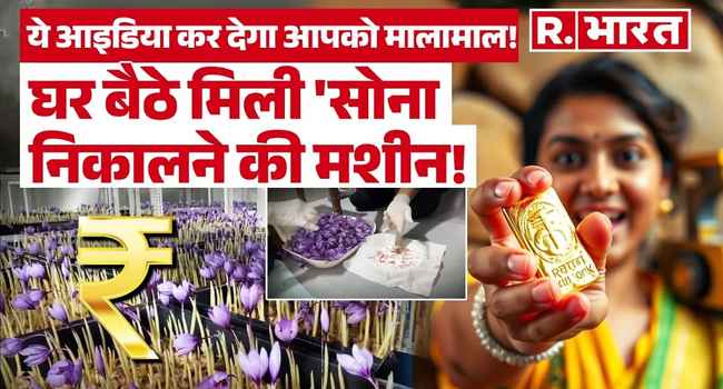 Saffron Cultivation indore