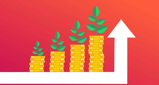 Mutual fund investments