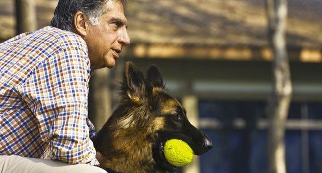 Ratn Tata pets 