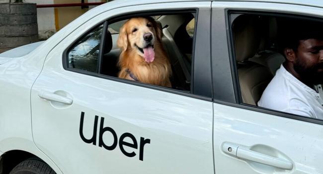 Uber Pet service