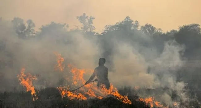 14 farmers arrested in Haryana's Kaithal for stubble-burning